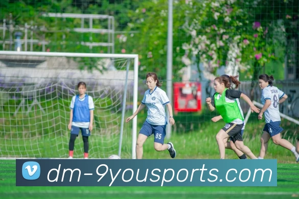 九游体育平台生态图